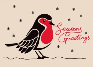 Seasons Greetings 2011 from Katy Carr